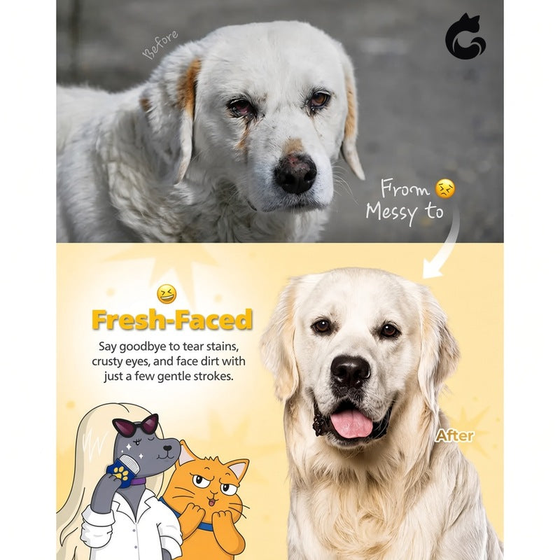 PETHROOM Easy Facial Comb for Cats and Dogs Pets Eye Comb